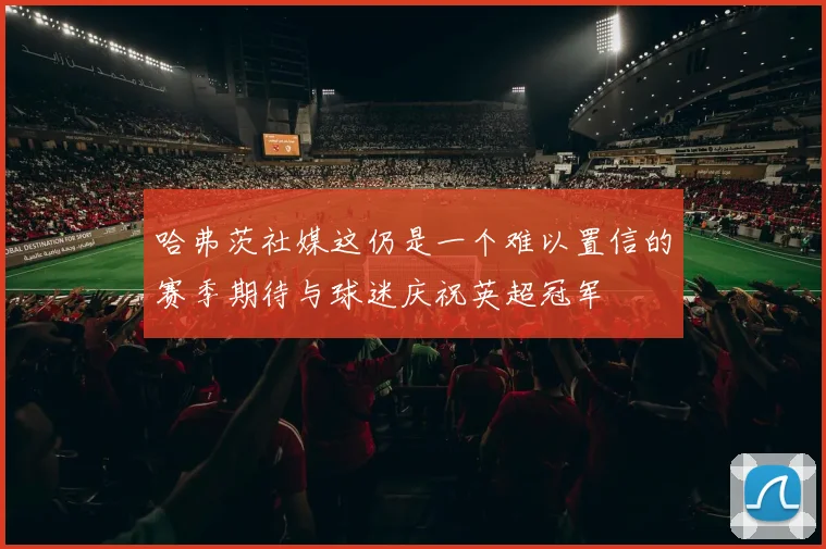 哈弗茨社媒这仍是一个难以置信的赛季期待与球迷庆祝英超冠军